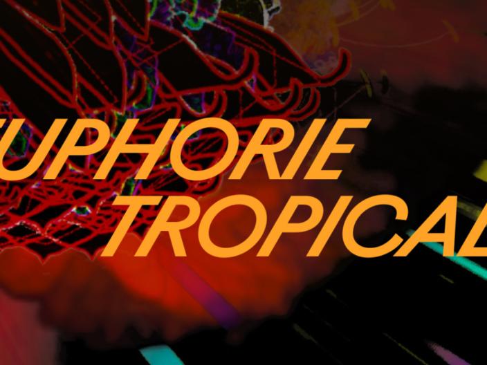 Exposition « Euphorie tropicale » – David Gumbs